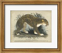 Framed Leopard
