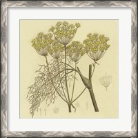 Framed Yellow Weeds