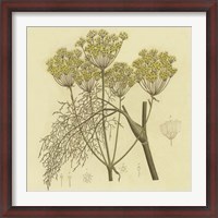 Framed Yellow Weeds
