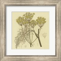 Framed Yellow Weeds