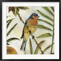 Framed Jungle Bird II