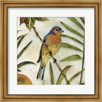 Framed Jungle Bird II