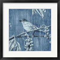 Denim Songbird I Framed Print