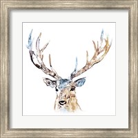 Framed Watercolour Reindeer
