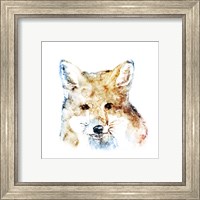 Framed 'Watercolour Fox' border=