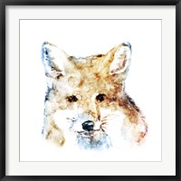 Framed Watercolour Fox