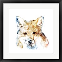 Framed 'Watercolour Fox' border=