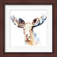 Framed 'Watercolour Moose' border=
