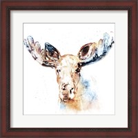Framed 'Watercolour Moose' border=