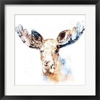 Watercolour Moose Framed Print