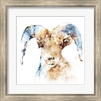 Framed Watercolour Ram