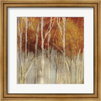 Framed Belgium Forest I