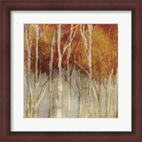 Framed Belgium Forest I