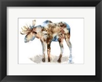 Framed Moose