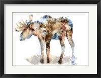 Framed Moose