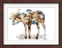 Framed Moose