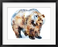 Framed Bear Blue