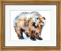 Framed Bear Blue