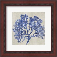 Framed Cobalt Coral I