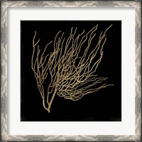 Framed Gold Coral I