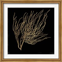 Framed Gold Coral I