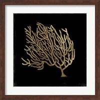 Framed Gold Coral II