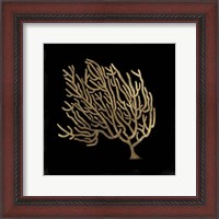 Framed Gold Coral II