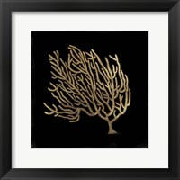 Gold Coral II Framed Print