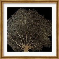 Framed Honeycomb Coral II