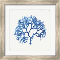 Framed 'Blue and Green Coral V' border=