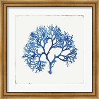 Framed Blue and Green Coral V