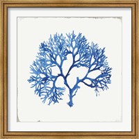 Framed Blue and Green Coral V