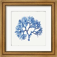 Framed Blue and Green Coral V