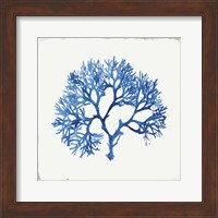 Framed 'Blue and Green Coral V' border=