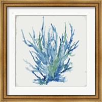 Framed Blue and Green Coral II