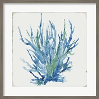 Framed Blue and Green Coral II