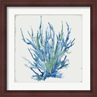 Framed Blue and Green Coral II