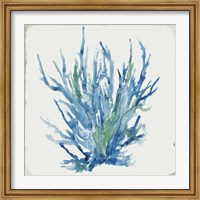 Framed Blue and Green Coral II