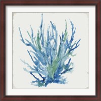 Framed Blue and Green Coral II