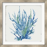 Framed Blue and Green Coral II