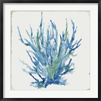 Framed Blue and Green Coral II