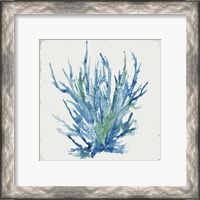 Framed 'Blue and Green Coral II' border=