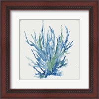 Framed Blue and Green Coral II