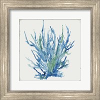 Framed Blue and Green Coral II