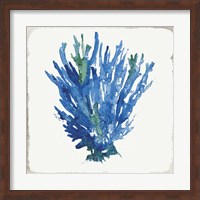 Framed Blue and Green Coral III