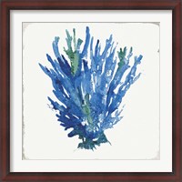 Framed Blue and Green Coral III