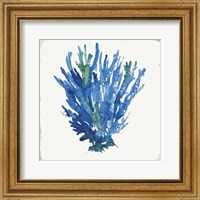 Framed 'Blue and Green Coral III' border=