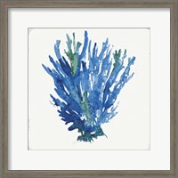 Framed Blue and Green Coral III