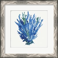 Framed 'Blue and Green Coral III' border=