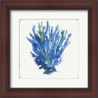 Framed Blue and Green Coral III